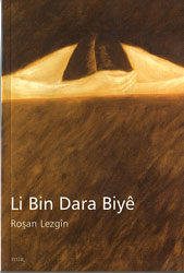 Li_Bin_Dara_Biye.jpg