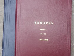 Cildê Diyin yê NEWEPELî Vejîya