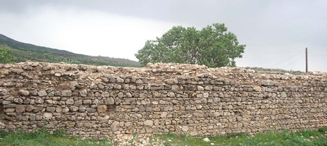 40