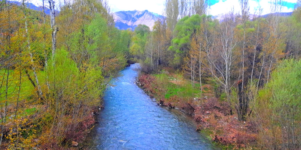 mirvan.jpg