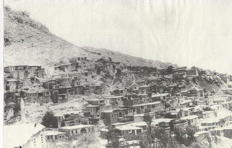 licê.jpg