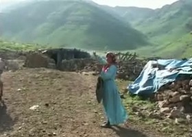 Vaşebug